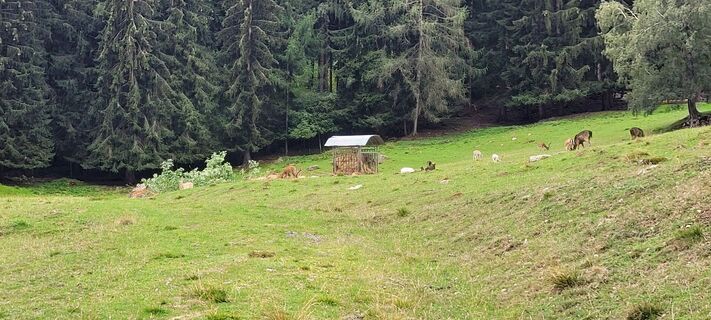 Foto von Nicky entlang der Tour
