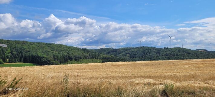 Fotografija s spletne strani Gansi na poti