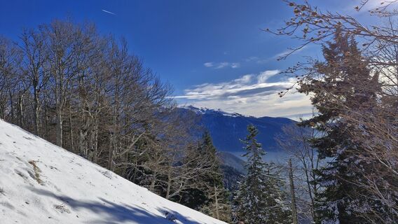 Foto de Štefan Jenko a lo largo del recorrido