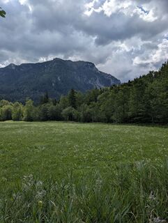 Photo de Franz Dvoran le long du parcours