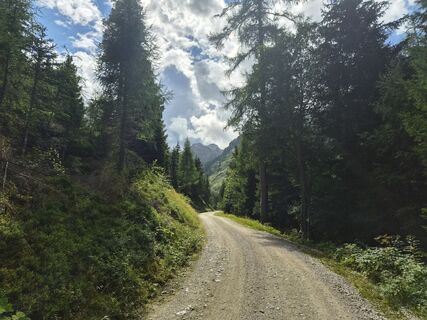 Fotografija s spletne strani Michael S. 2 na poti
