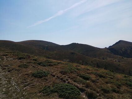 Foto de Tasurinki Mitote a lo largo del recorrido
