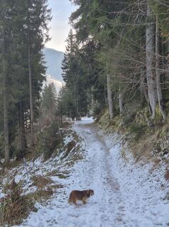 Fotografie z Katrin na trase