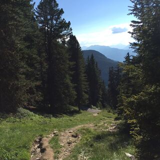 Wanderweg Feldring Sattele