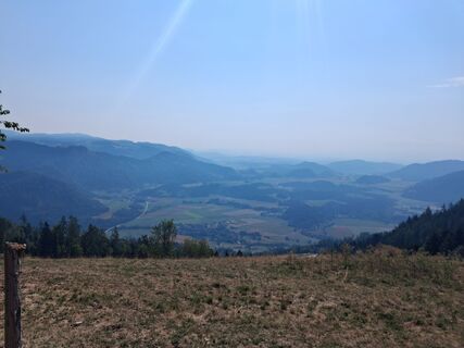 Foto de Woti a lo largo del recorrido