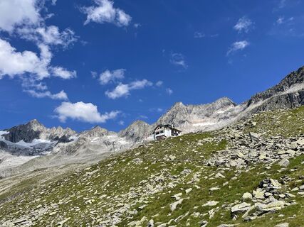 Fotografia z filbro na trase