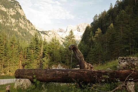 Am weg zum Hinteren Gosausee