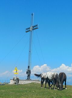 Foto von Thomas Michalek 1 entlang der Tour