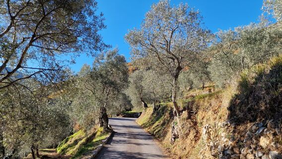 Foto de Fabrizi Mellano a lo largo del recorrido