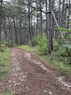 Fotografie z Anton Gigele na trase