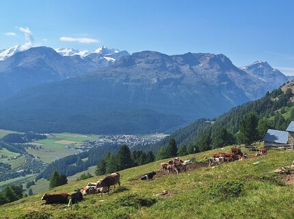 Foto von Ma Danz entlang der Tour