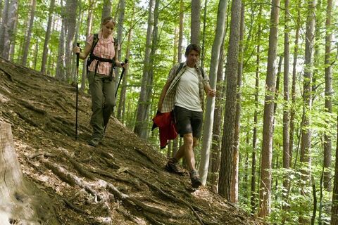 Wanderer am Jägersteig