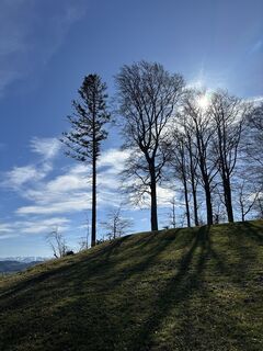 Fotografija s spletne strani Cyrill Bischof na poti