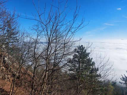 Foto da Karin Svozil lungo il tour