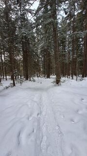 Fotografia z Regina Fleischmann na trase