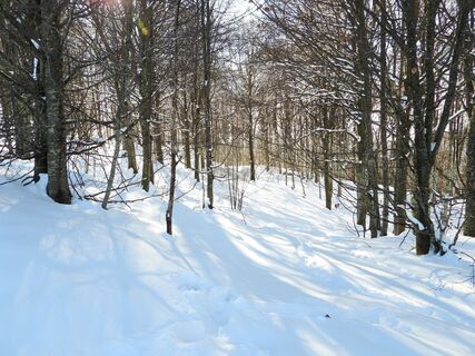 Zdjęcie z Stefano Manzoni wzdłuż trasy