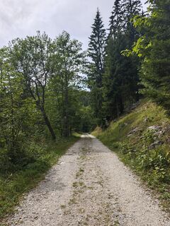 Fotografija s spletne strani Katona Ferk Mariann na poti
