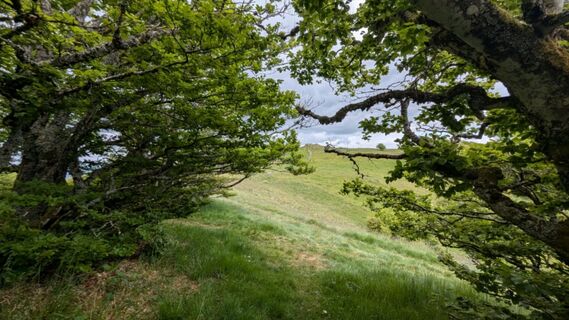 Zdjęcie z Richard Schwald wzdłuż trasy