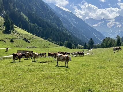 Foto von Ben Möhlmann entlang der Tour