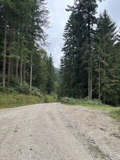 Fotografija s spletne strani Heinz Sperl na poti