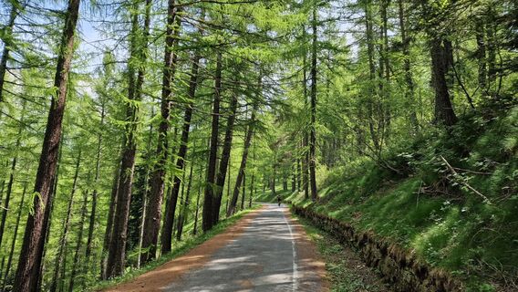 Foto de Fabrizi Mellano a lo largo del recorrido