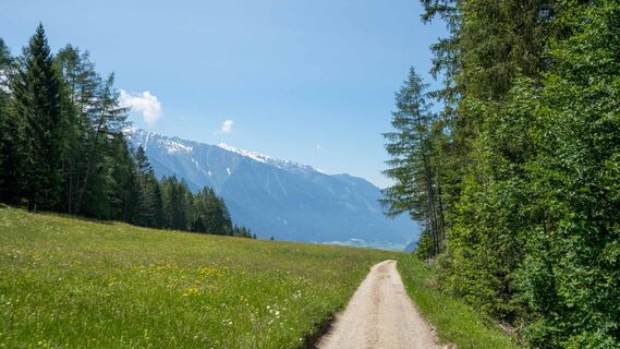 Wanderweg Wildmoos-Buchen