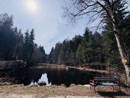 Foto von Edeltraud zraunig entlang der Tour