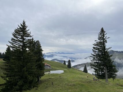 Photo de Andi frei le long du parcours