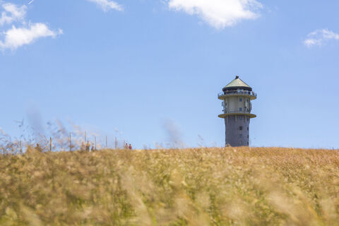 Westweg Etappe 10, Feldberg, Feldbergturm