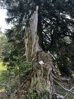 Foto von helpstring entlang der Tour