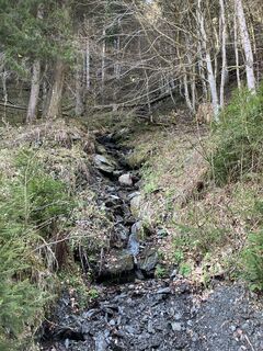 Photo de Paul Dollinger le long du parcours