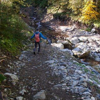 Weg vor Hubelrippa - Alpenpanoramaweg Etappe 20