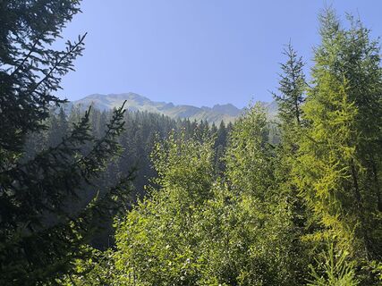 Foto von Tobias Peschanel entlang der Tour