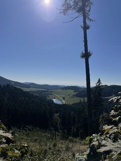 Foto von Maximilian Zechner entlang der Tour