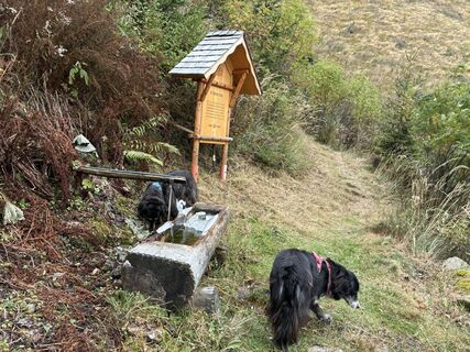 Photo de Brigitta Konrad le long du parcours