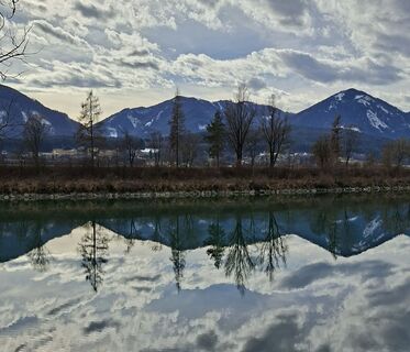 Foto von Mangolein entlang der Tour