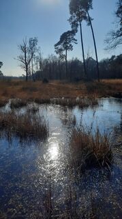 Foto von Enkidu55 entlang der Tour