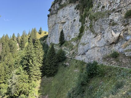 Photo de Daniel Herz le long du parcours