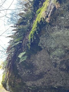 Foto von Babs Holz entlang der Tour
