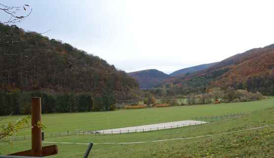 beim Pferdehof westseitig am Weg vorbei