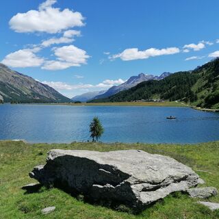 Blick auf den Silsersee