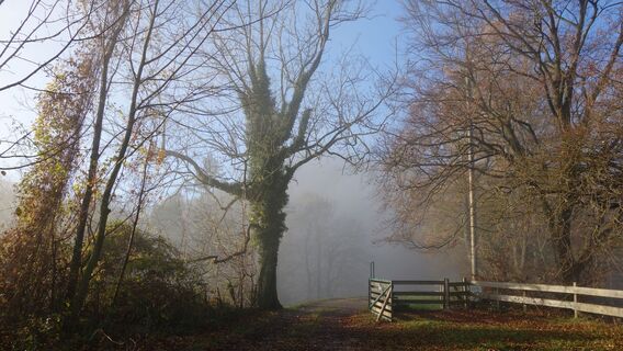 am Weg zur Staffhütte