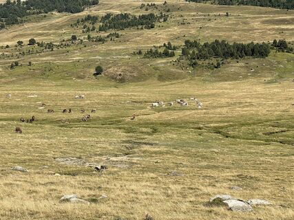 Foto von Marina I entlang der Tour