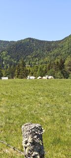 Fotografie z Huba Csicsics na trase