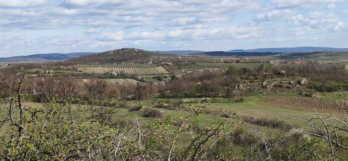 Foto de I Breitler60 a lo largo del recorrido