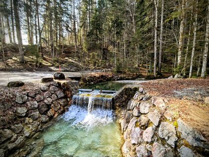 Fotografie z Michi Steiert na trase