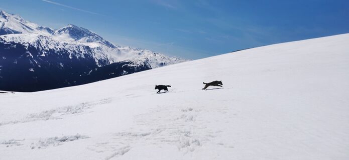Fotografie z Claudia Hinteregger na trase