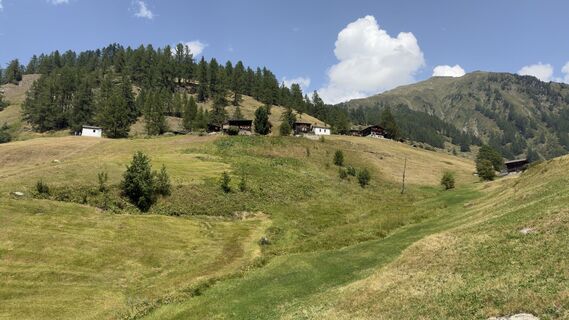 Fotografija s spletne strani Peter Burki na poti