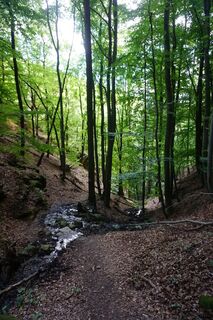 Fotografie de la Walter Köllner de-a lungul turului