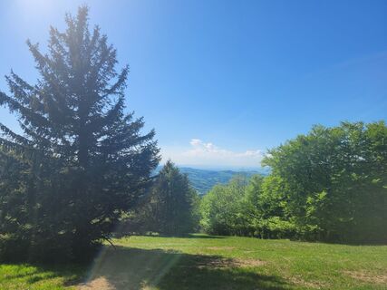 Photo de mmecki le long du parcours